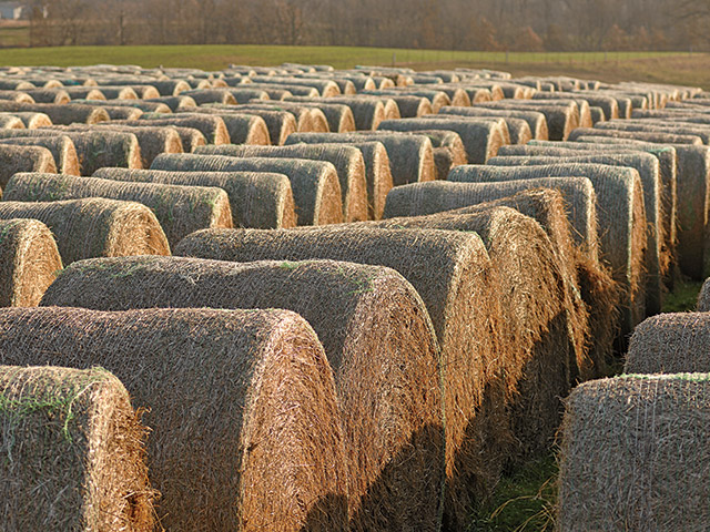 Whether or not to make round bale silage is not an easy question, but bales won&#039;t disappear anytime soon. (DTN&#092;Progressive Farmer file photo by Jim Patrico)